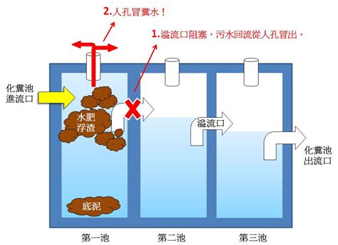 化糞池在哪|化糞池快速定位法